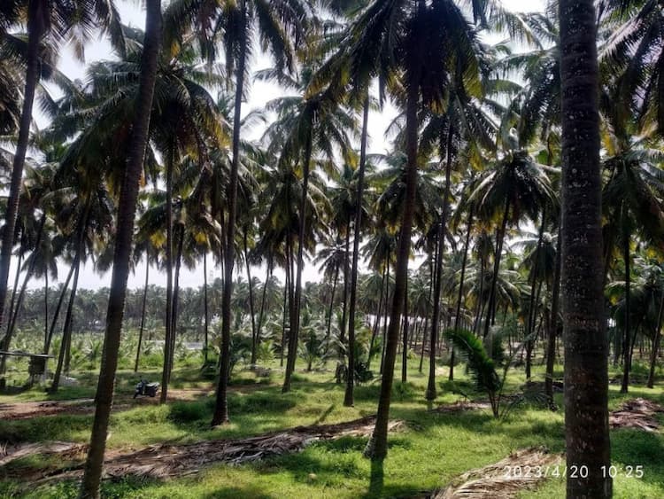 Single Property Image