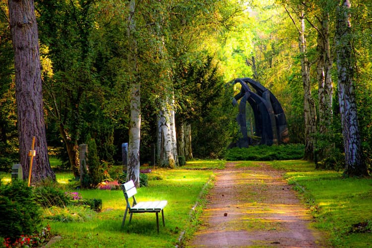 Single Property Image