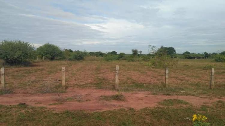 Plot sale