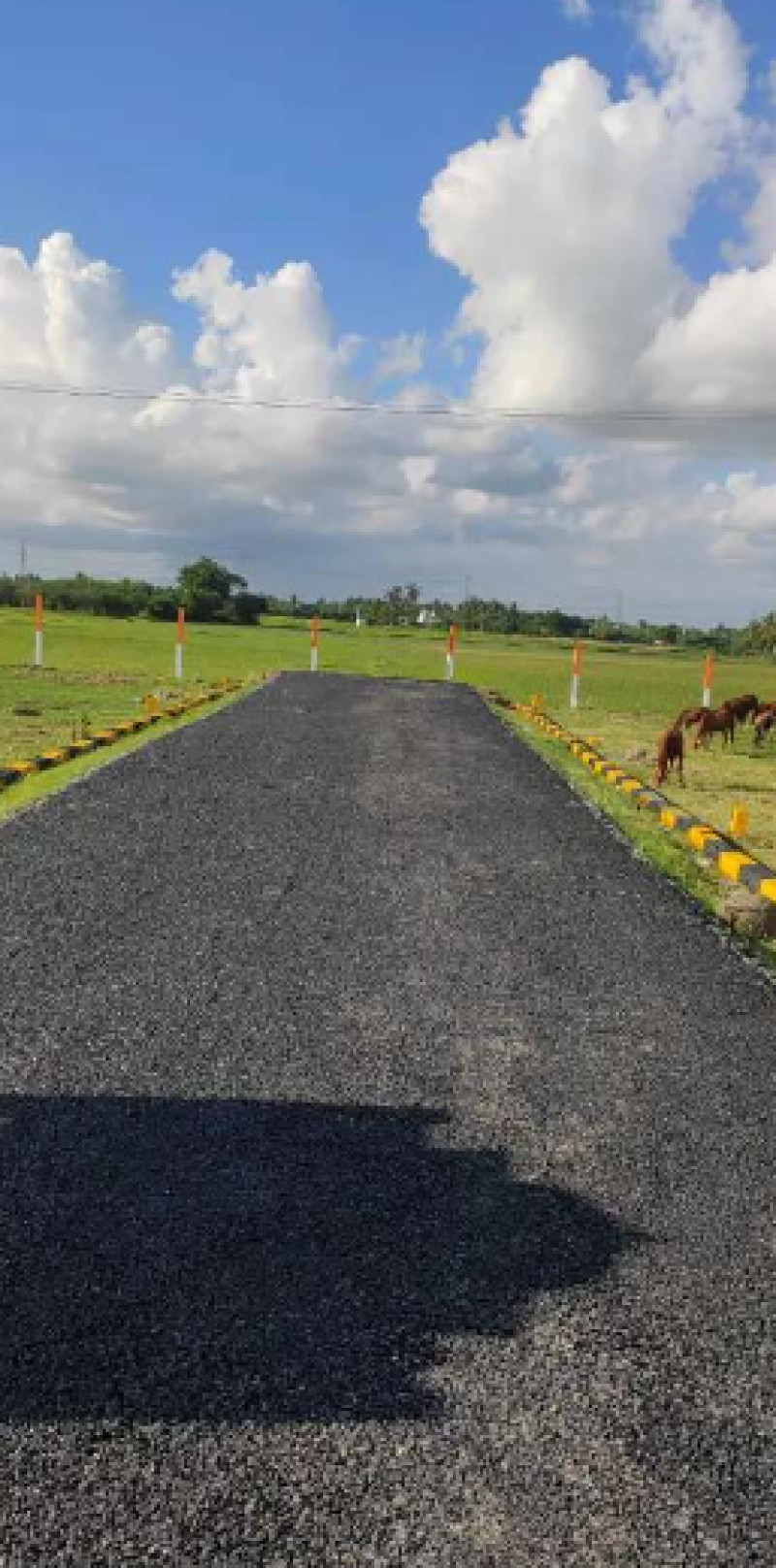 plot for sale 