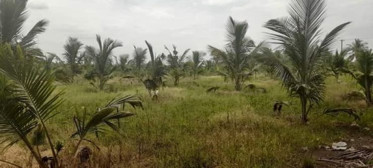 Single Property Image