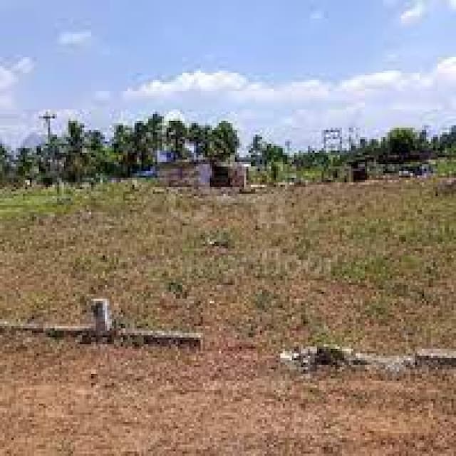 Trending Projects Image