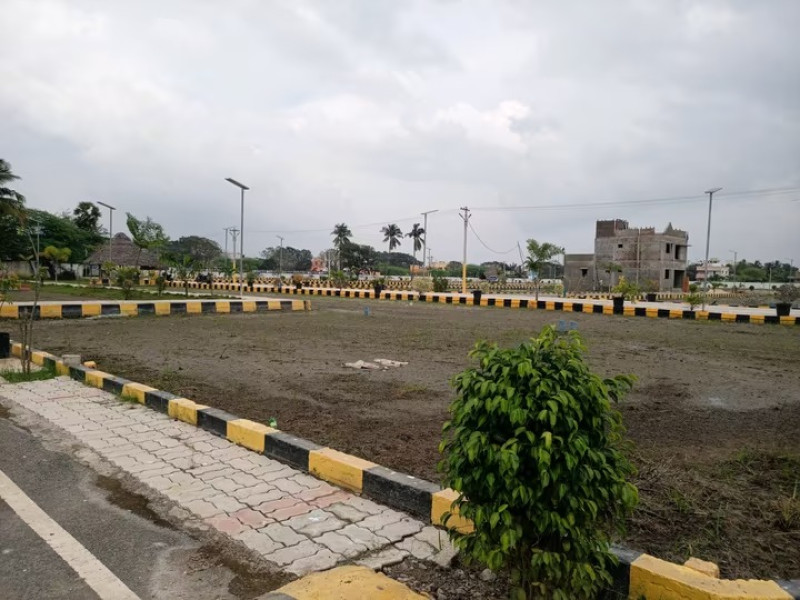 Residential Plot