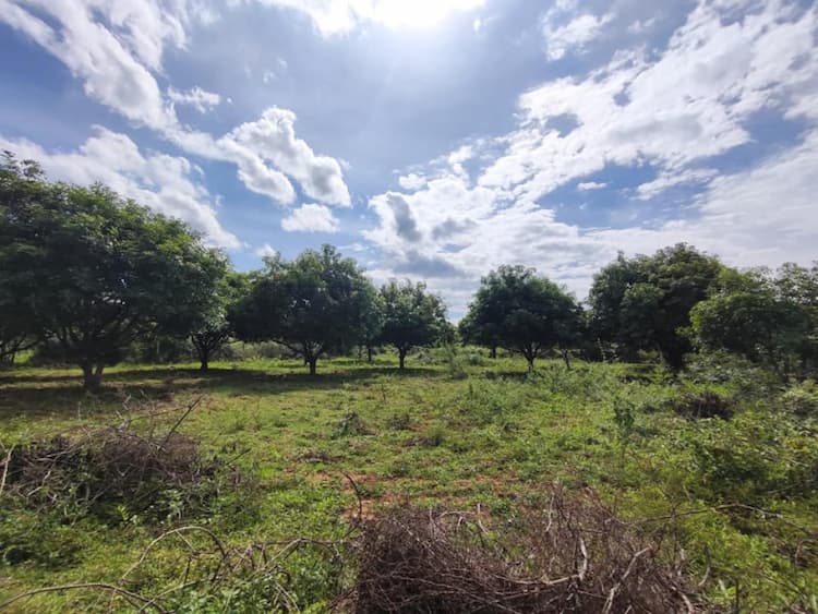 Farm land for sale 