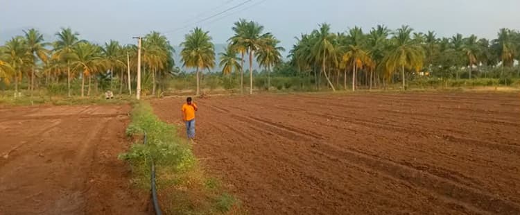 Agri Land For Sale