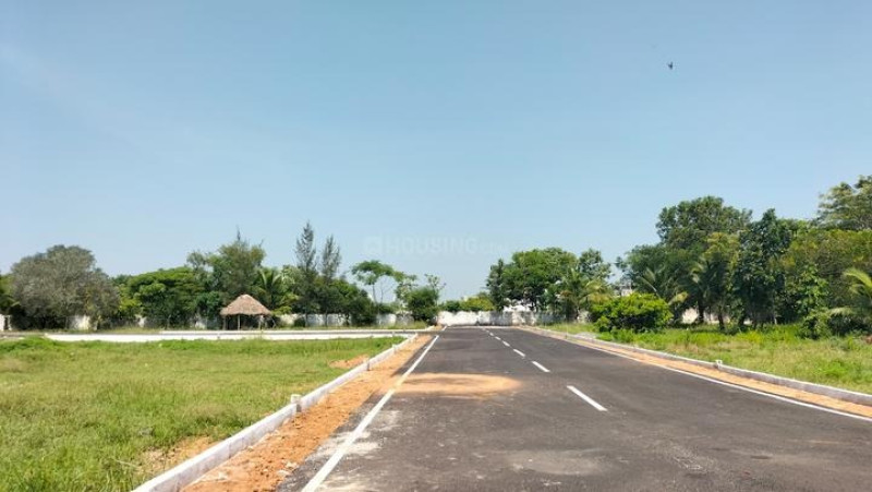 Residential Plot