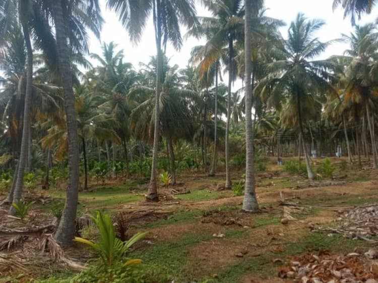 Single Property Image