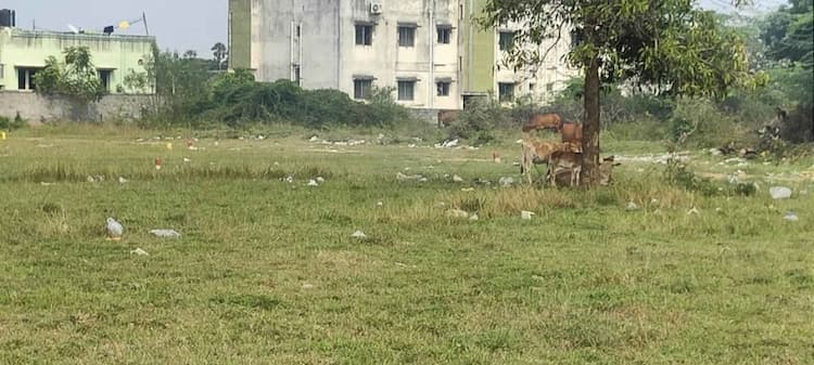 Dtcp Approved Land Sale