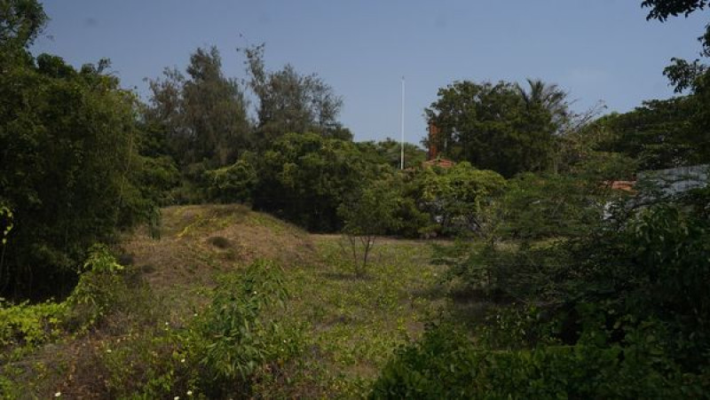 Land sale