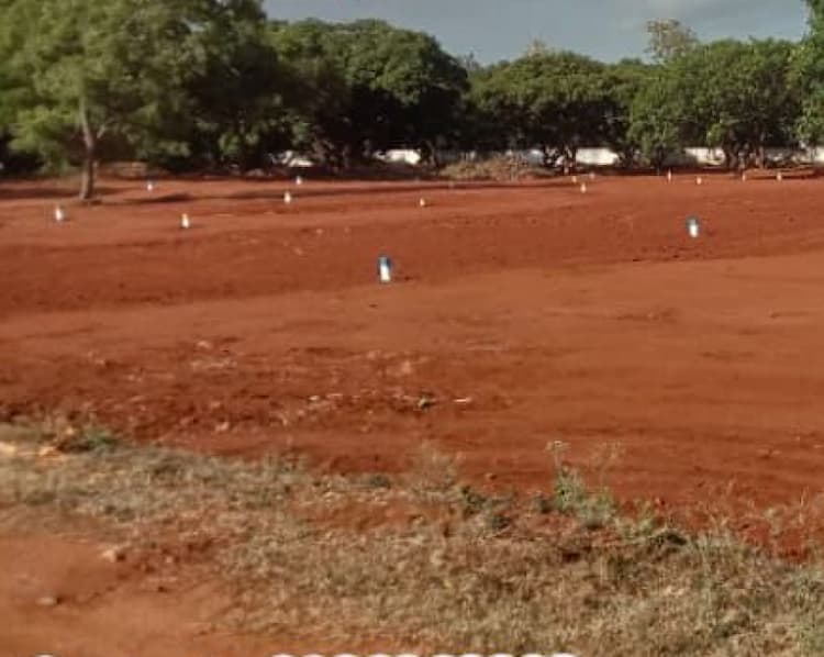 Single Property Image