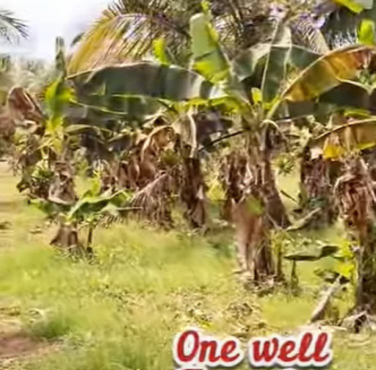 land for sales
