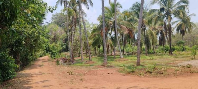 Land for Sale