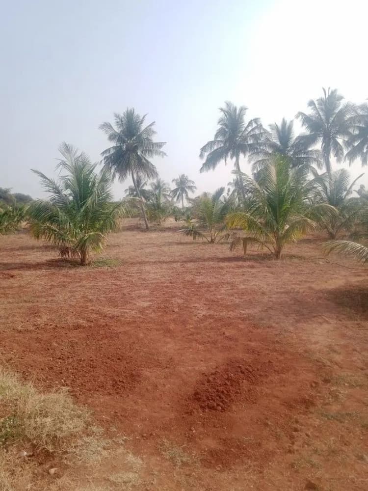 Land for Sale
