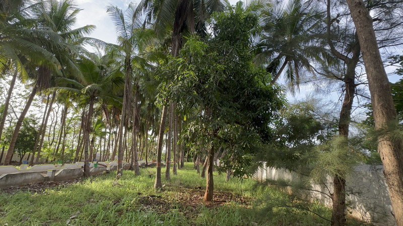 Land for sales