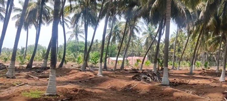 Land for Sale