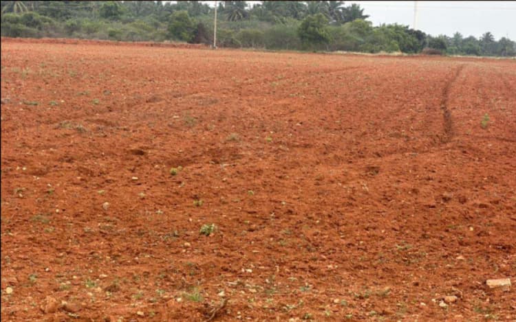 2 Acre Land in Periyapatti