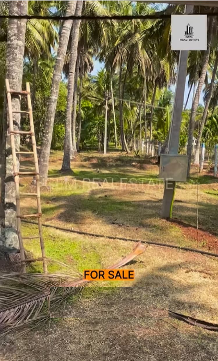 Agri Land For Sale