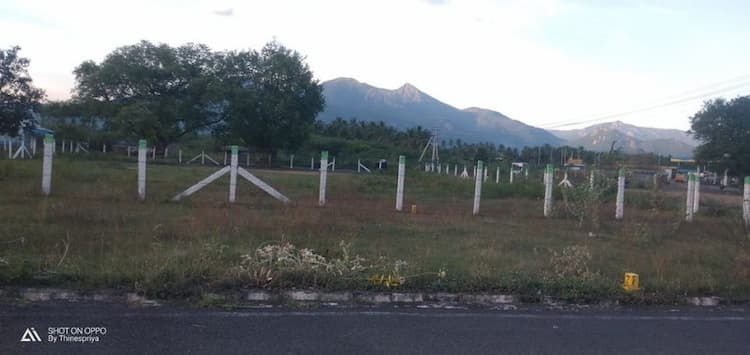 Land for sales