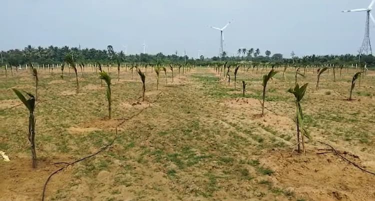 Land sale
