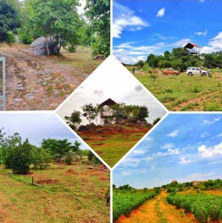 Land sale
