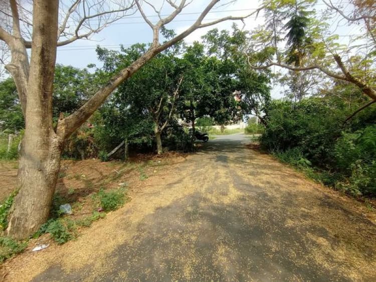 Single Property Image