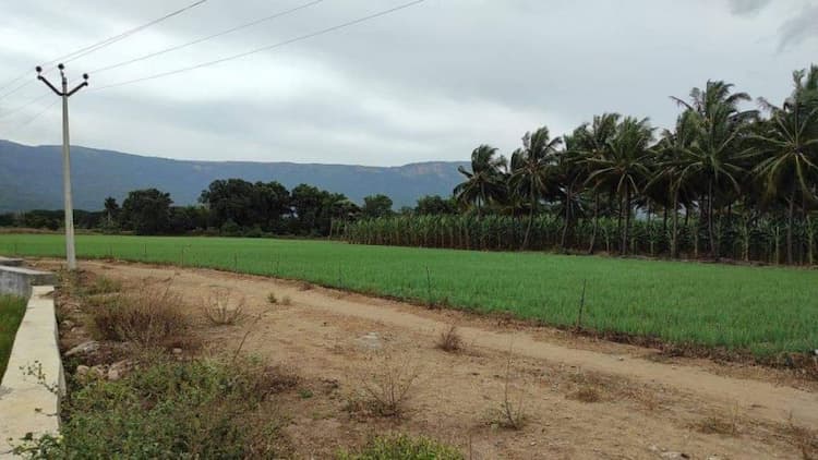 farm land for sale Near by Adhiyogi statue isha