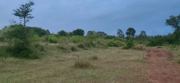 Agricultural Land