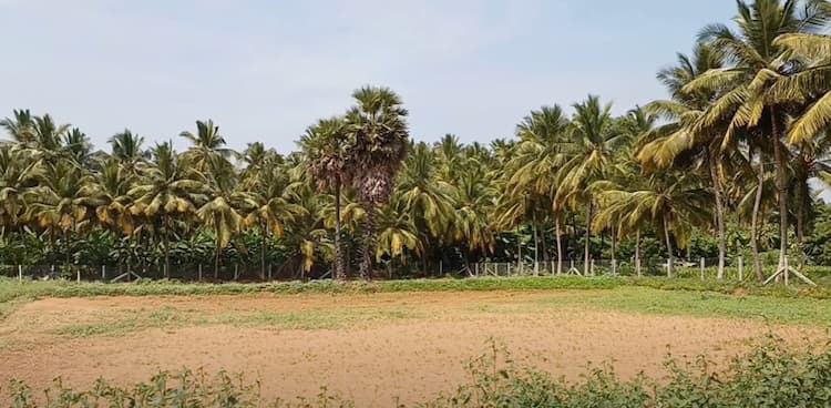 Single Property Image