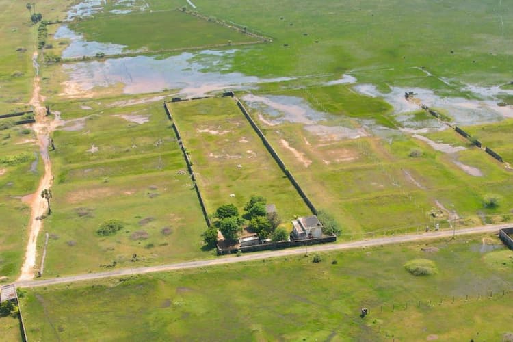 Salavankuppam Village Very  Low Budget Property For Sale