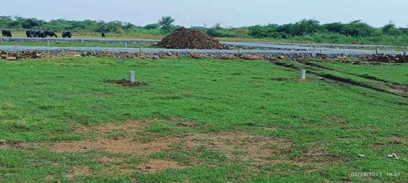 Plot sale