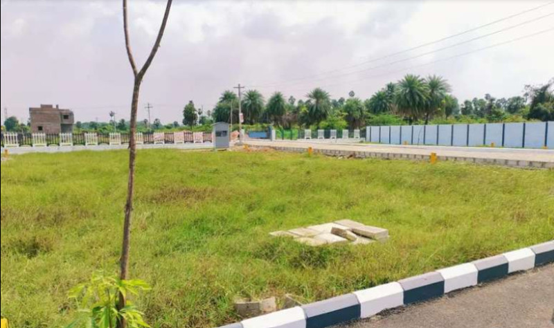 Land for sales