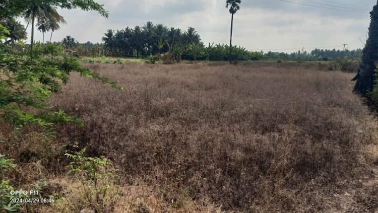 Land for sales