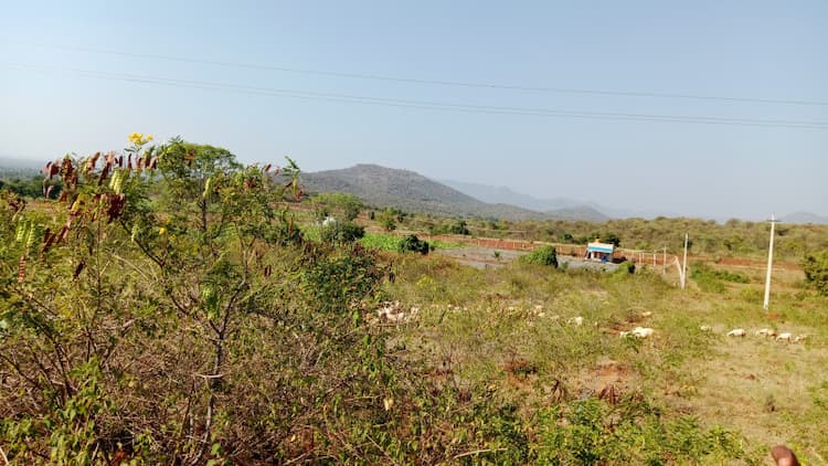 Agricultural Land