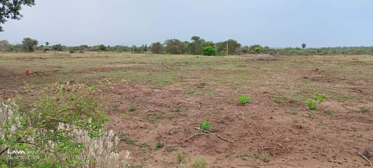 land sale