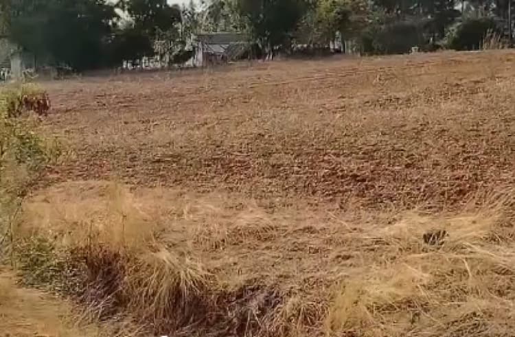 Land for sales