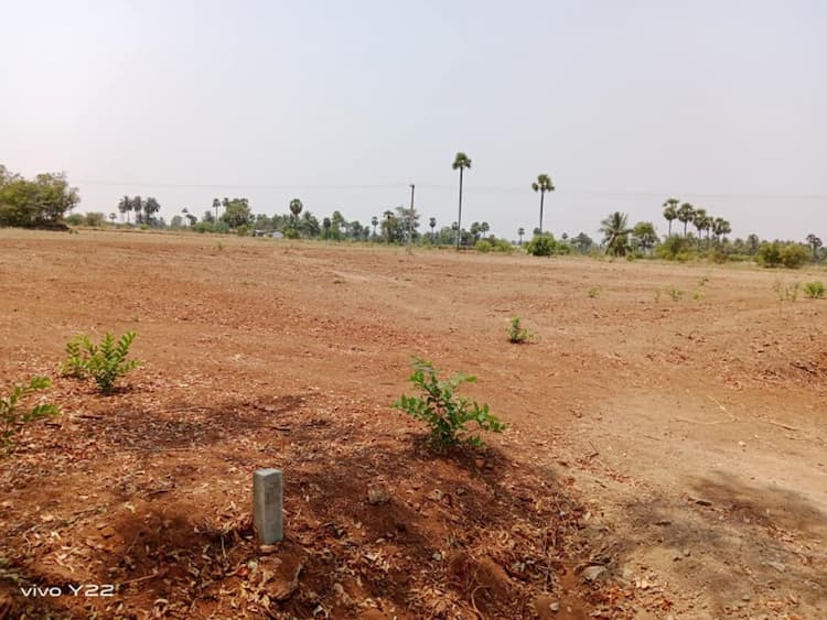 Land for sales