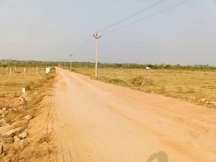 Plot sale