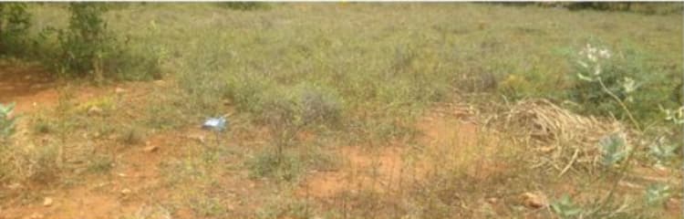Land for sales