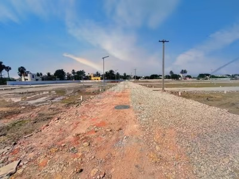 Residential Plot