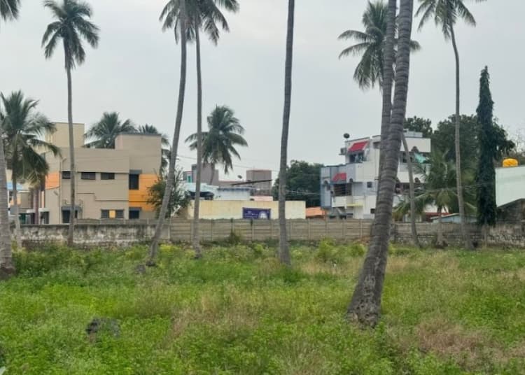 Residential Plot