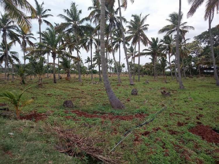 Agricultural Land