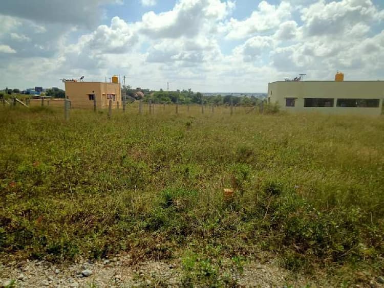 Plot sale
