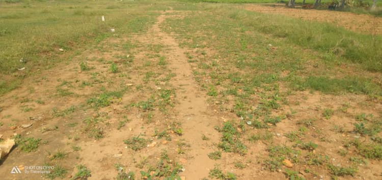 6 Acre For sales
