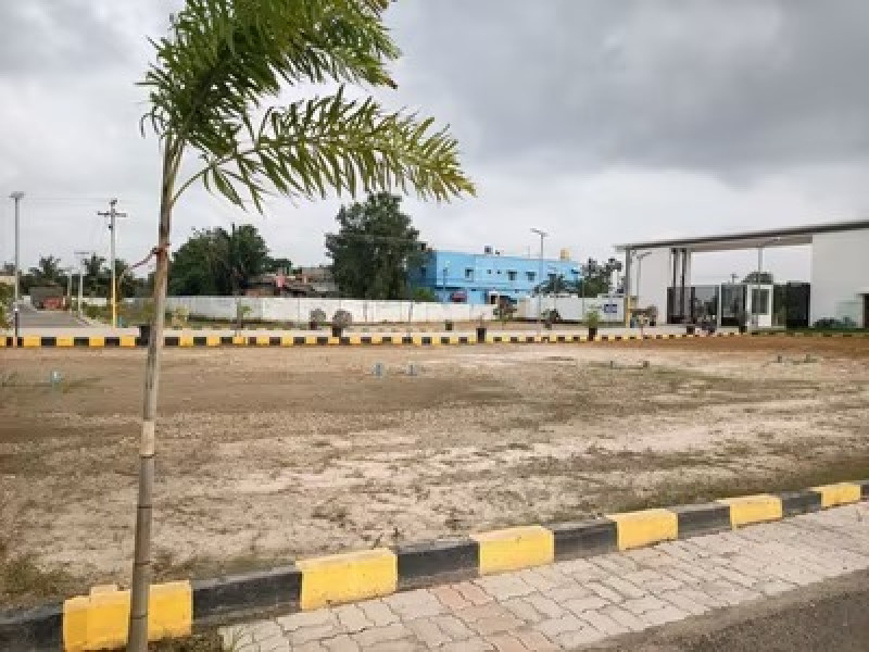 Residential Plot