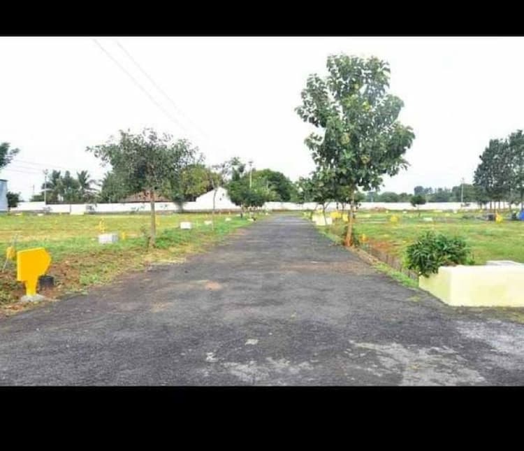 Plot sale