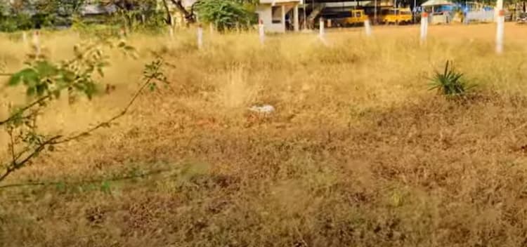 Land for sales