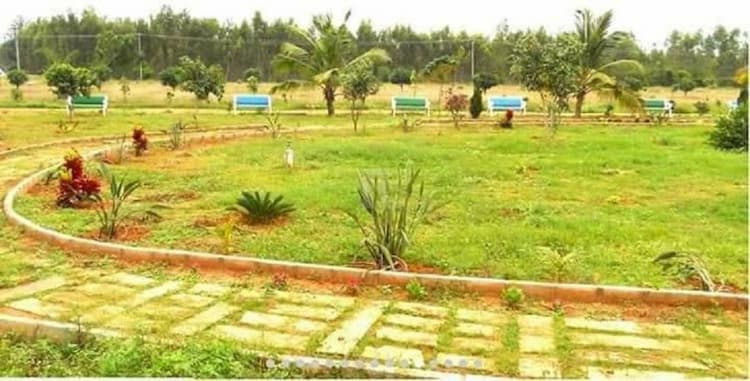 Plot sale