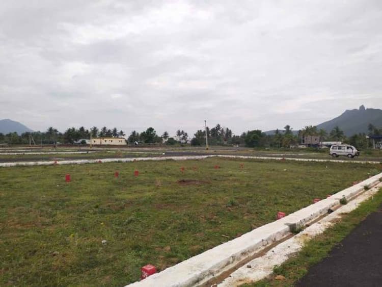 Plot sale