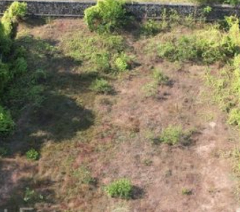 Land for sales