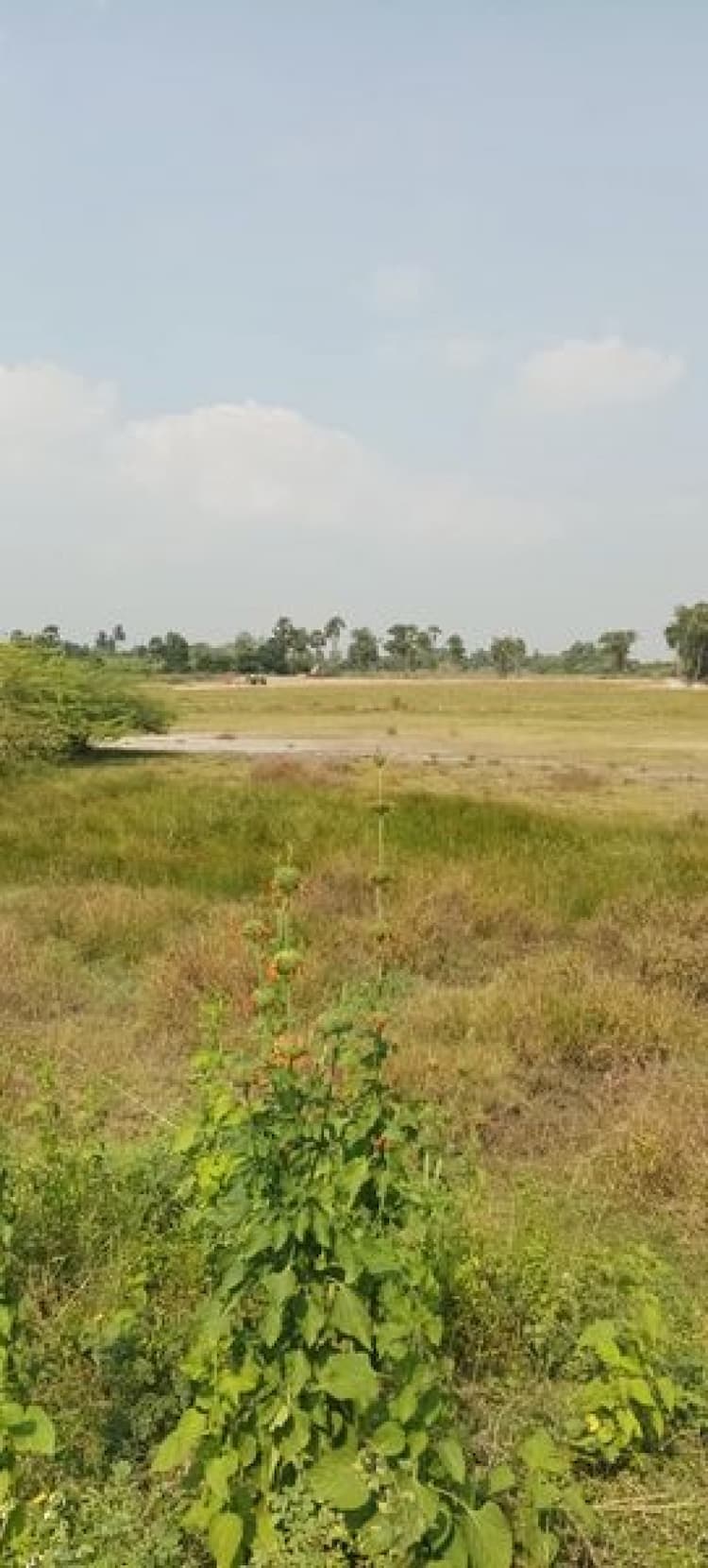 Land sale